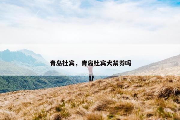 青岛杜宾，青岛杜宾犬禁养吗
