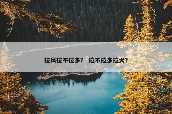 拉风拉不拉多？ 拉不拉多拉犬？