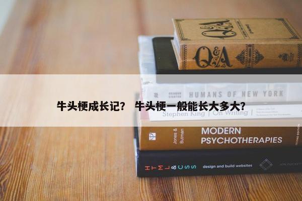 牛头梗成长记？ 牛头梗一般能长大多大？