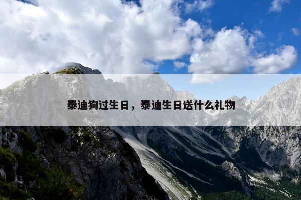 泰迪狗过生日，泰迪生日送什么礼物