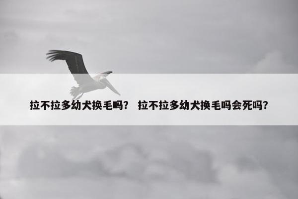 拉不拉多幼犬换毛吗？ 拉不拉多幼犬换毛吗会死吗？