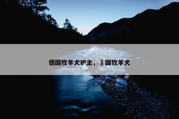 德国牧羊犬护主，徳国牧羊犬