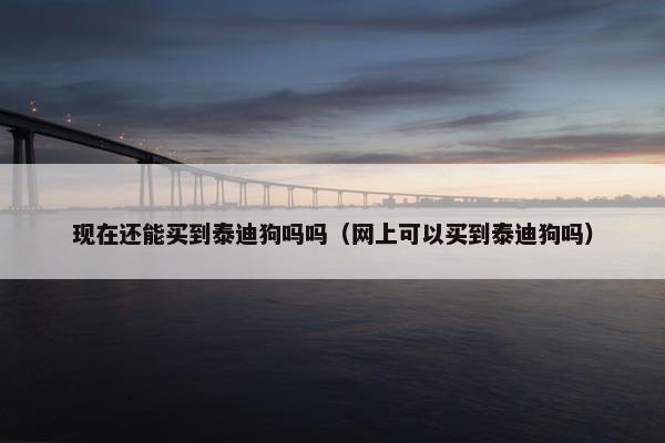 现在还能买到泰迪狗吗吗（网上可以买到泰迪狗吗）