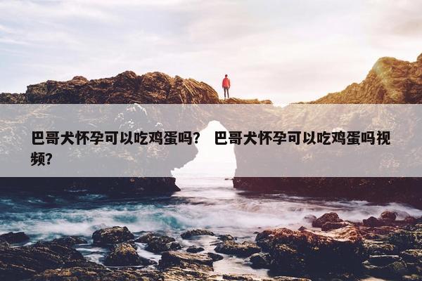 巴哥犬怀孕可以吃鸡蛋吗？ 巴哥犬怀孕可以吃鸡蛋吗视频？