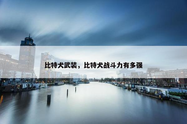 比特犬武装，比特犬战斗力有多强