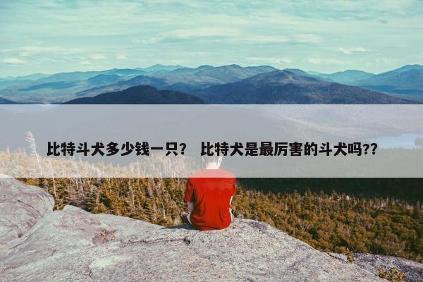 比特斗犬多少钱一只？ 比特犬是最厉害的斗犬吗?？