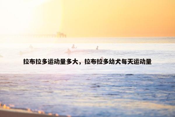 拉布拉多运动量多大，拉布拉多幼犬每天运动量
