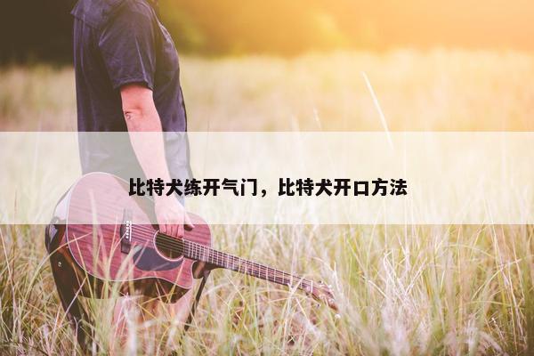 比特犬练开气门，比特犬开口方法