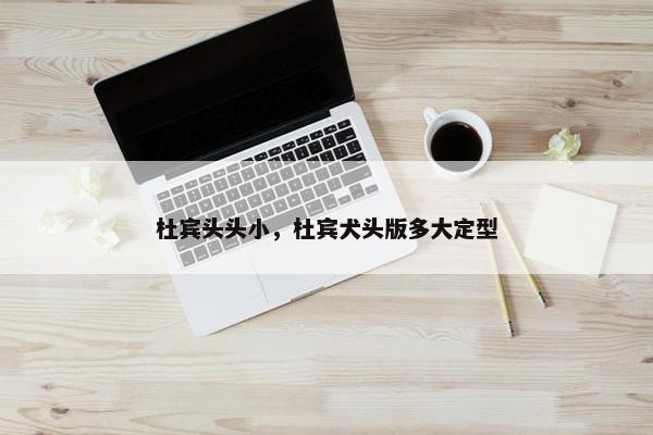 杜宾头头小，杜宾犬头版多大定型