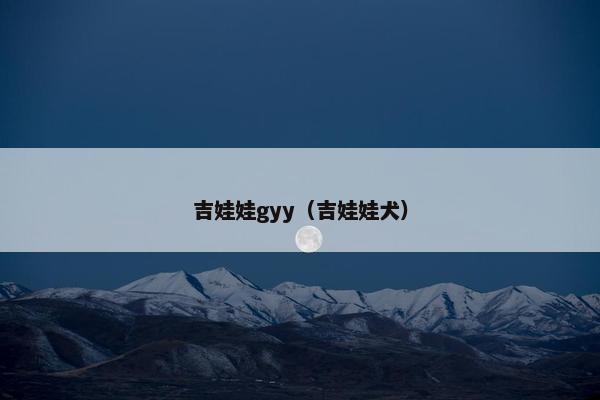 吉娃娃gyy（吉娃娃犬）