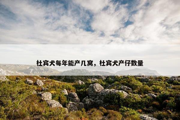 杜宾犬每年能产几窝，杜宾犬产仔数量