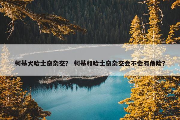 柯基犬哈士奇杂交？ 柯基和哈士奇杂交会不会有危险？