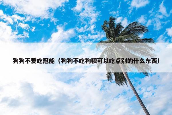 狗狗不爱吃冠能（狗狗不吃狗粮可以吃点别的什么东西）