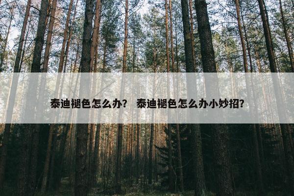 泰迪褪色怎么办？ 泰迪褪色怎么办小妙招？