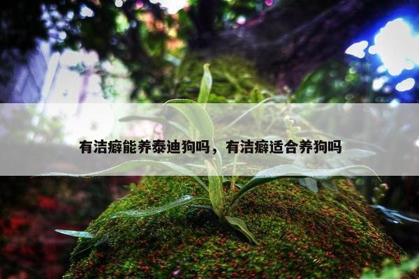 有洁癖能养泰迪狗吗，有洁癖适合养狗吗