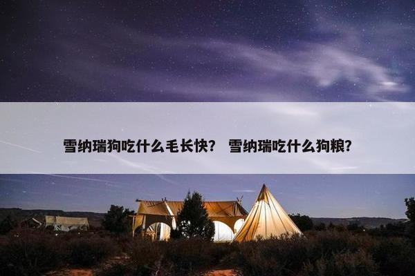 雪纳瑞狗吃什么毛长快？ 雪纳瑞吃什么狗粮？