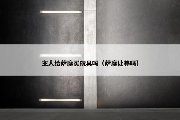 主人给萨摩买玩具吗（萨摩让养吗）