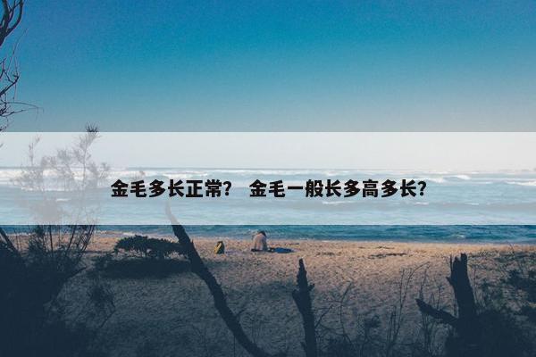 金毛多长正常？ 金毛一般长多高多长？