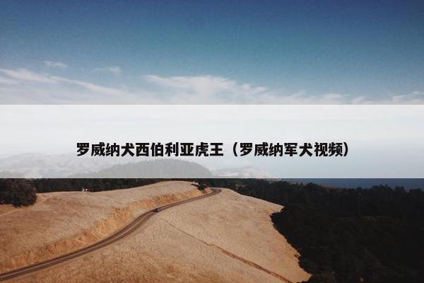罗威纳犬西伯利亚虎王（罗威纳军犬视频）
