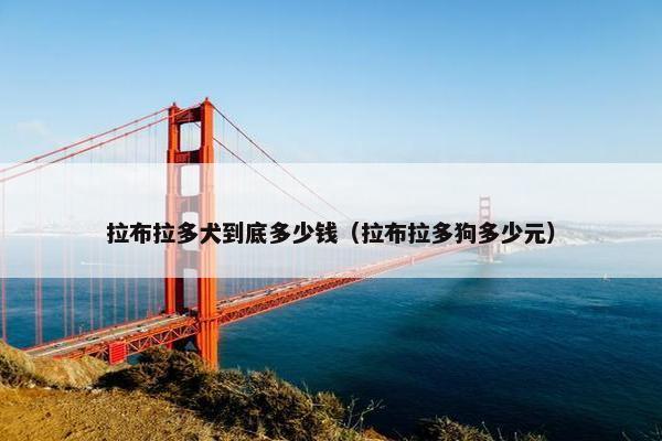 拉布拉多犬到底多少钱（拉布拉多狗多少元）