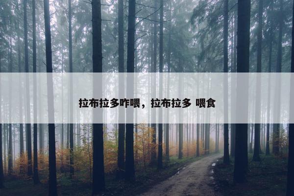 拉布拉多咋喂，拉布拉多 喂食