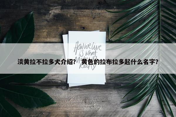 淡黄拉不拉多犬介绍？ 黄色的拉布拉多起什么名字？