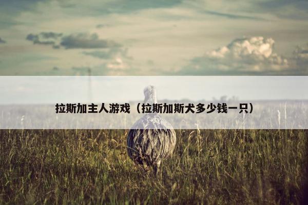 拉斯加主人游戏（拉斯加斯犬多少钱一只）