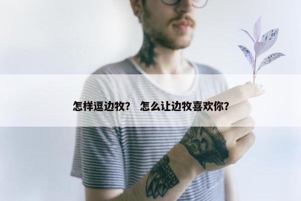 怎样逗边牧？ 怎么让边牧喜欢你？