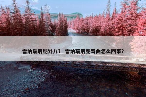雪纳瑞后腿外八？ 雪纳瑞后腿弯曲怎么回事？