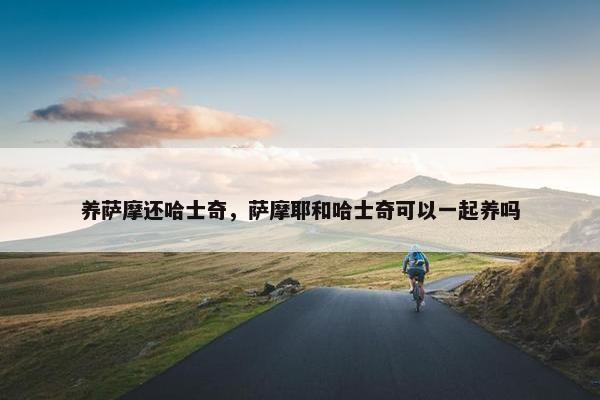 养萨摩还哈士奇，萨摩耶和哈士奇可以一起养吗