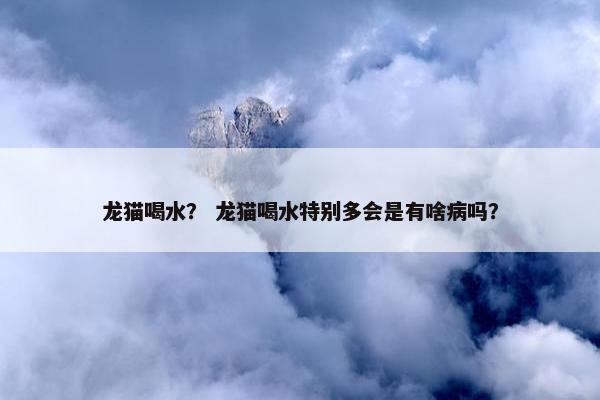 龙猫喝水？ 龙猫喝水特别多会是有啥病吗？