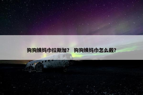 狗狗姨妈巾拉斯加？ 狗狗姨妈巾怎么戴？