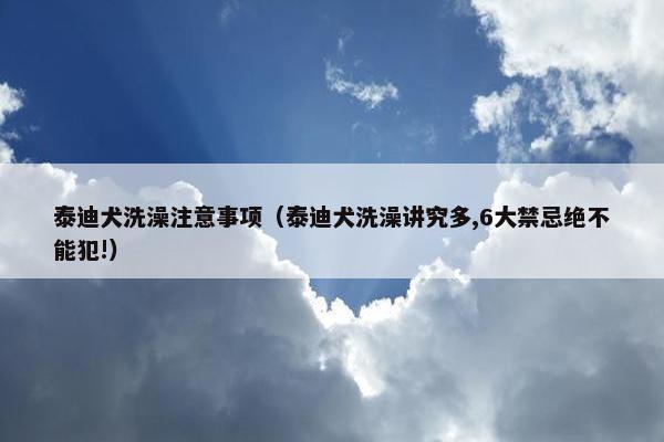 泰迪犬洗澡注意事项（泰迪犬洗澡讲究多,6大禁忌绝不能犯!）