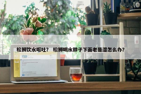 松狮饮水呕吐？ 松狮喝水脖子下面老是湿怎么办？