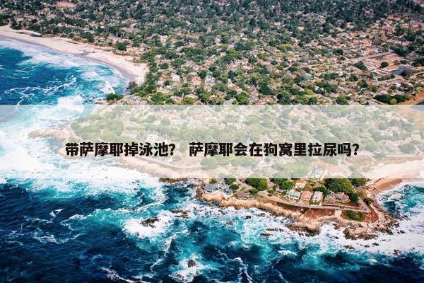 带萨摩耶掉泳池？ 萨摩耶会在狗窝里拉尿吗？