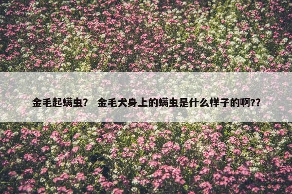 金毛起螨虫？ 金毛犬身上的螨虫是什么样子的啊?？