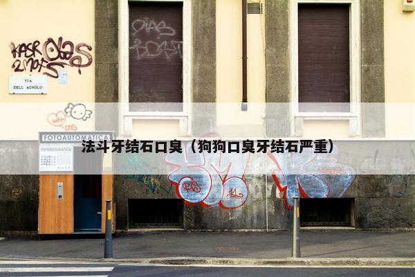 法斗牙结石口臭（狗狗口臭牙结石严重）
