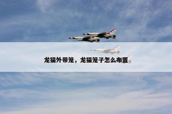 龙猫外带笼，龙猫笼子怎么布置