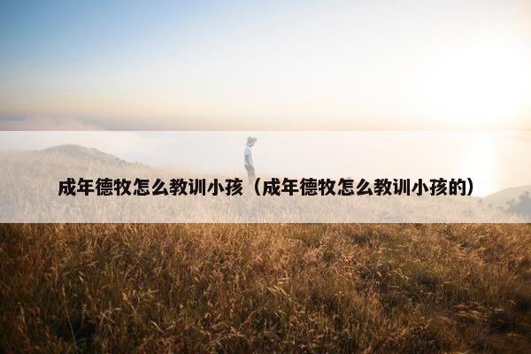成年德牧怎么教训小孩（成年德牧怎么教训小孩的）