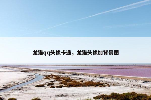 龙猫qq头像卡通，龙猫头像加背景图
