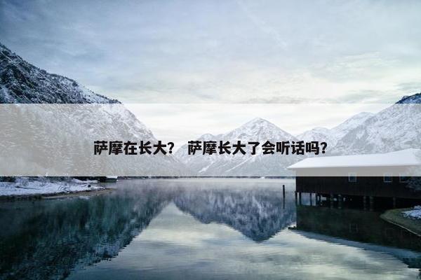 萨摩在长大？ 萨摩长大了会听话吗？