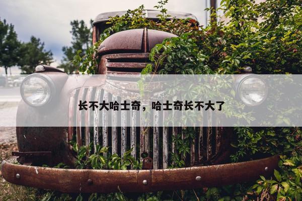 长不大哈士奇，哈士奇长不大了
