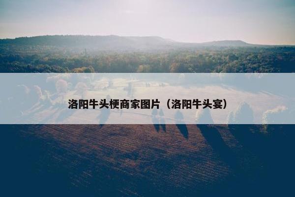 洛阳牛头梗商家图片（洛阳牛头宴）