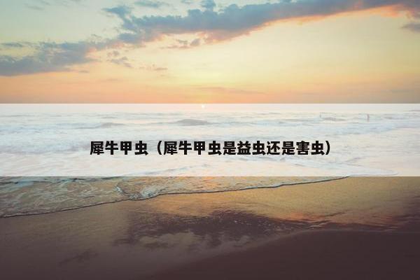 犀牛甲虫（犀牛甲虫是益虫还是害虫）