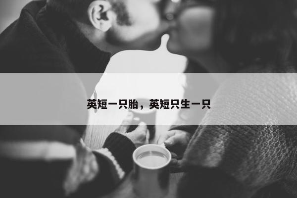 英短一只胎，英短只生一只