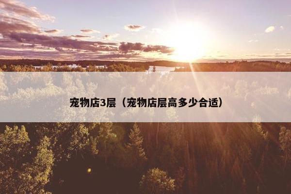 宠物店3层（宠物店层高多少合适）