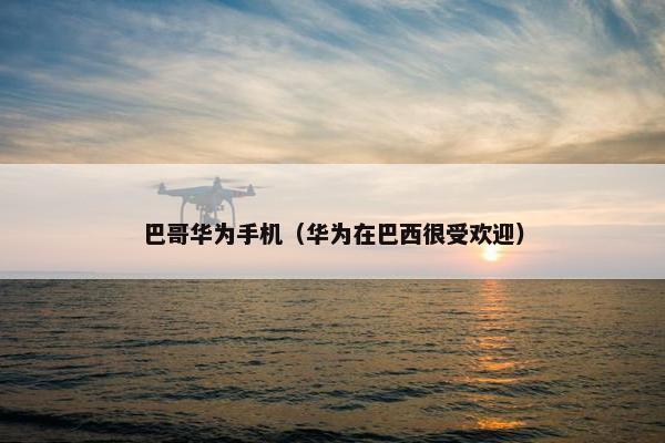 巴哥华为手机（华为在巴西很受欢迎）