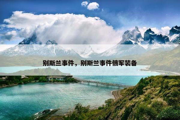 别斯兰事件，别斯兰事件俄军装备