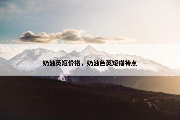 奶油英短价格，奶油色英短猫特点