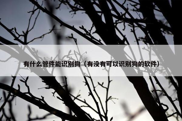 有什么管件能识别狗（有没有可以识别狗的软件）